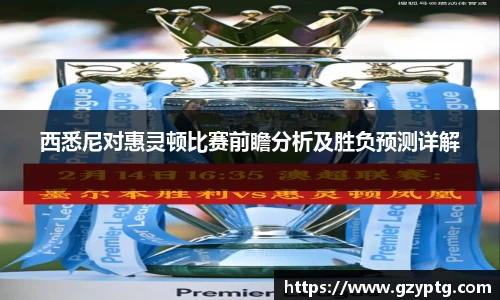 西悉尼对惠灵顿比赛前瞻分析及胜负预测详解