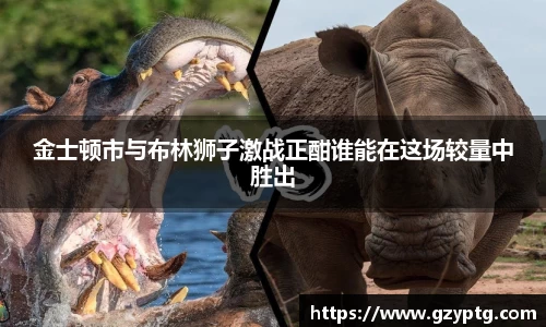 熊猫体育官网